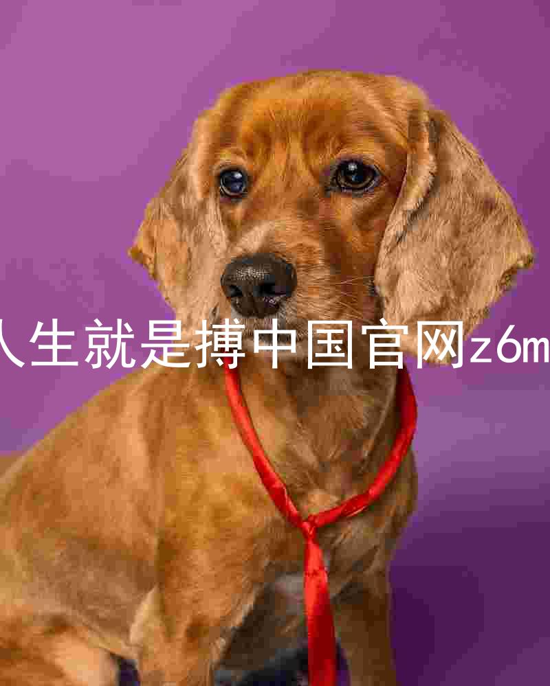 人生就是搏中国官网z6mg