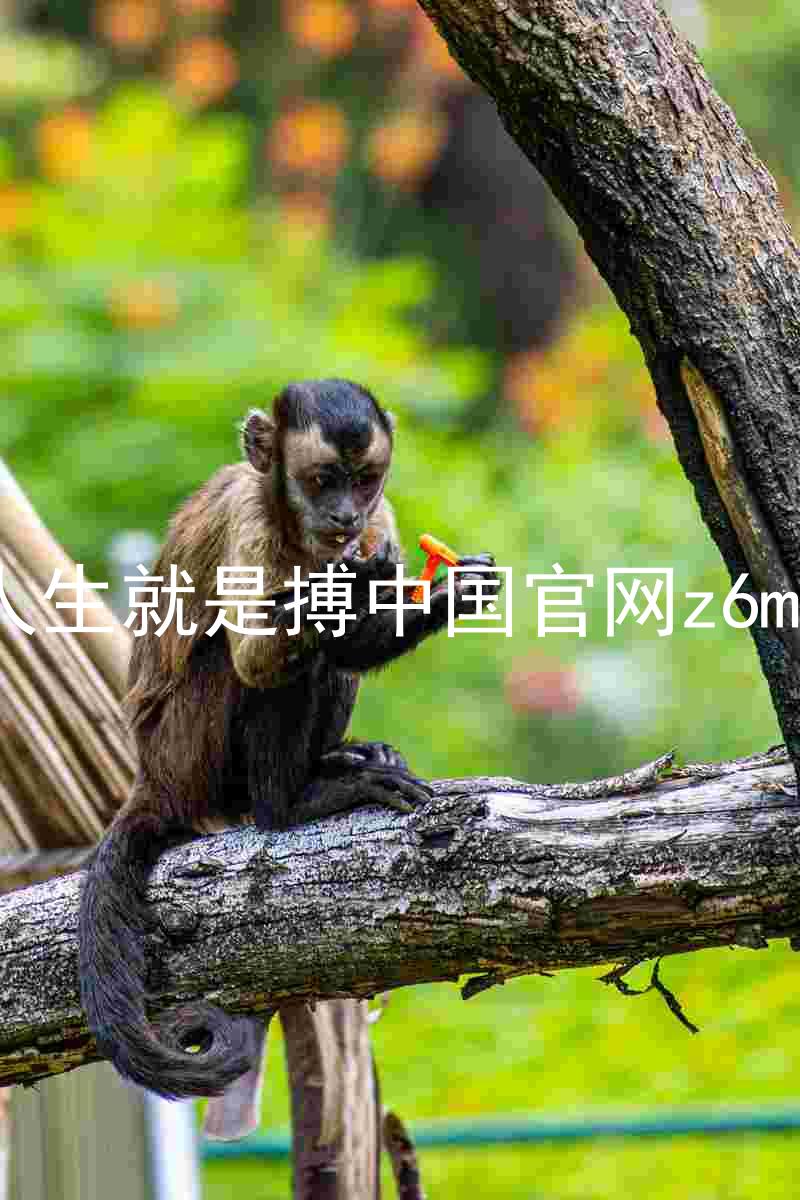 人生就是搏中国官网z6mg