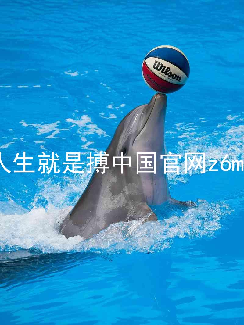 人生就是搏中国官网z6mg
