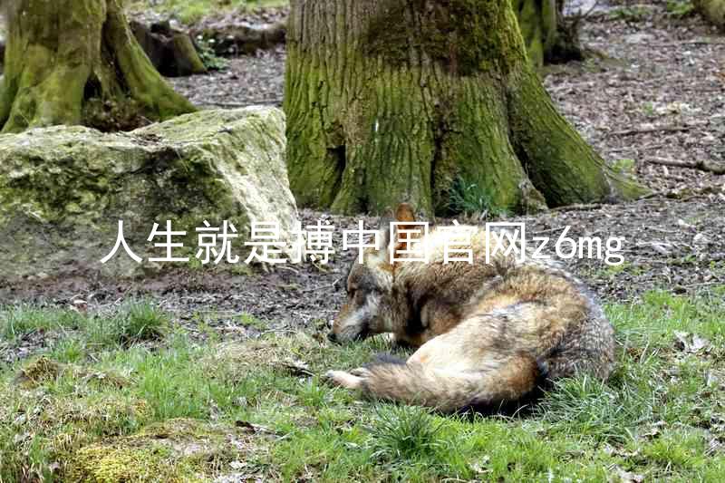 人生就是搏中国官网z6mg