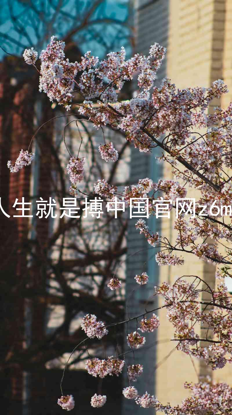 人生就是搏中国官网z6mg